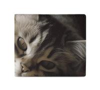 Dwrepo Sleeping Cat Wallets for Women Men Leather Small Credit Card Wallet Slim Purse Bifold Wallet Card Holder Wallet, white, One size, Casual, White, One size, Casual
