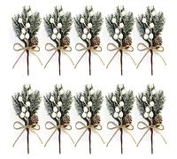 DWTECH Artificial Pine Picks Christmas Pine Needles with Red Berries and Pine Cones for Christmas Craft, Garden, Wreath, Tree, Flower Arrangement, Christmas Party Decoration Gift (10 Pcs White)
