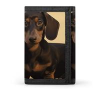 DWTJKMS A Cute Dachshund Wallet Minimalist Mens Slim Trifold Wallets Modern Fashion Wallets Anti-Theft Wallet Holds Cards And Cash