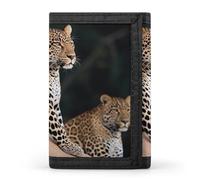 DWTJKMS African Leopard on Rock Wallet Minimalist Mens Slim Trifold Wallets Modern Fashion Wallets Anti-Theft Wallet Holds Cards And Cash