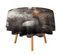 DWTJKMS Cat Kiss Round Tablecloth, Picnic Dinner Party Decor Table Covers Summer Fall Outdoor Circle Cover 70x70in for Wedding Birthday Patio Party