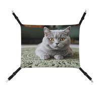 DWTJKMS Cat on Carpet Cat Hammock Soft Sleeping Hammocks Adjustable Pet Hammock All Season Use for Cats, Ferret, Puppy, Rabbits, Small Animals (Classical)