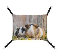 DWTJKMS Cute GuineaPig Cat Hammock Soft Sleeping Hammocks Adjustable Pet Hammock All Season Use for Cats, Ferret, Puppy, Rabbits, Small Animals (Classical)