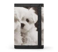 DWTJKMS Cute Maltese Puppy Wallet Minimalist Mens Slim Trifold Wallets Modern Fashion Wallets Anti-Theft Wallet Holds Cards And Cash