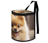 DWTJKMS Cute Pomeranian Dog Car Trash Can with Lid Large Capacity Hanging Auto Trash Bin Leak-Proof Waterproof Trash Bin Cars Must Haves Interior Accessories