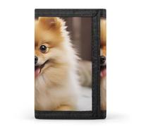 DWTJKMS Cute Pomeranian Dog Wallet Minimalist Mens Slim Trifold Wallets Modern Fashion Wallets Anti-Theft Wallet Holds Cards And Cash