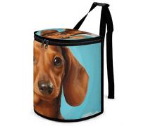 DWTJKMS Dachshund Dog Car Trash Can with Lid Large Capacity Hanging Auto Trash Bin Leak-Proof Waterproof Trash Bin Cars Must Haves Interior Accessories