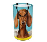 DWTJKMS Dachshund Dog Laundry Basket, Collapsible Dirty Clothes Hamper with Easy Carry Handles, Large Storage Basket for Laundry Room Dorm, Family