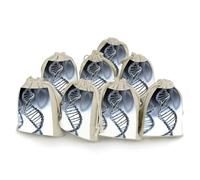 DWTJKMS DNA Chain Photo Gift Pouches 8PCS Portable Small Drawstring Storage Bags Pouches Reusable Cotton Linen Bunches Pocket For Wedding, Travel, Office, Workout (Unisex)
