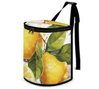 DWTJKMS Fruits Lemon Car Trash Can with Lid Large Capacity Hanging Auto Trash Bin Leak-Proof Waterproof Trash Bin Cars Must Haves Interior Accessories