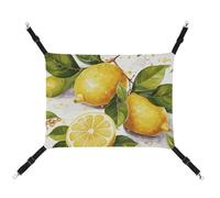 DWTJKMS Fruits Lemon Cat Hammock Soft Sleeping Hammocks Adjustable Pet Hammock All Season Use for Cats, Ferret, Puppy, Rabbits, Small Animals (Classical)