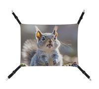 DWTJKMS Funny Cute Squirrel Cat Hammock Soft Sleeping Hammocks Adjustable Pet Hammock All Season Use for Cats, Ferret, Puppy, Rabbits, Small Animals (Classical)