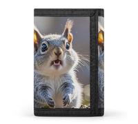 DWTJKMS Funny Cute Squirrel Wallet Minimalist Mens Slim Trifold Wallets Modern Fashion Wallets Anti-Theft Wallet Holds Cards And Cash