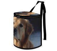 DWTJKMS Golden Retriever Car Trash Can with Lid Large Capacity Hanging Auto Trash Bin Leak-Proof Waterproof Trash Bin Cars Must Haves Interior Accessories