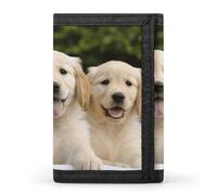 DWTJKMS Golden Retriever Puppies Wallet Minimalist Mens Slim Trifold Wallets Modern Fashion Wallets Anti-Theft Wallet Holds Cards And Cash