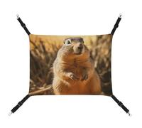 DWTJKMS Hand Drawn Groundhog Cat Hammock Soft Sleeping Hammocks Adjustable Pet Hammock All Season Use for Cats, Ferret, Puppy, Rabbits, Small Animals (Classical)