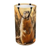 DWTJKMS Hand Drawn Groundhog Laundry Basket, Collapsible Dirty Clothes Hamper with Easy Carry Handles, Large Storage Basket for Laundry Room Dorm, Family