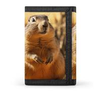 DWTJKMS Hand Drawn Groundhog Wallet Minimalist Mens Slim Trifold Wallets Modern Fashion Wallets Anti-Theft Wallet Holds Cards And Cash