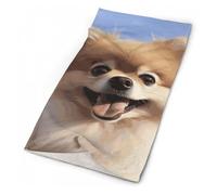 DWTJKMS Happy Pomeranian Neck Gaiter Winter Bandana Cloth Soft Face Mask for Men Women Warmer Windproof Face Cover Scarf for Skiing Fishing Hiking Cycling, White, One size