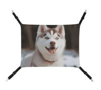 DWTJKMS Husky Piquant Dog Cat Hammock Soft Sleeping Hammocks Adjustable Pet Hammock All Season Use for Cats, Ferret, Puppy, Rabbits, Small Animals (Classical)