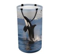 DWTJKMS Killer Whale Laundry Basket, Collapsible Dirty Clothes Hamper with Easy Carry Handles, Large Storage Basket for Laundry Room Dorm, Family
