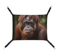 DWTJKMS Orangutan Taking Photo Cat Hammock Soft Sleeping Hammocks Adjustable Pet Hammock All Season Use for Cats, Ferret, Puppy, Rabbits, Small Animals (Classical)
