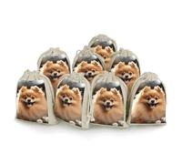 DWTJKMS Pomeranian Dog Gift Pouches 8PCS Portable Small Drawstring Storage Bags Pouches Reusable Cotton Linen Bunches Pocket For Wedding, Travel, Office, Workout (Unisex)