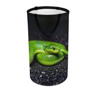 DWTJKMS The Green Snake Laundry Basket, Collapsible Dirty Clothes Hamper with Easy Carry Handles, Large Storage Basket for Laundry Room Dorm, Family