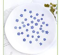 DWUENT Forget-me-not Flower Stickers for DIY Crafts Card Making Resin Jewelry Decorations - Natural Blue Pressed Flowers Brooch Funeral Supplies (60 Pieces, 1cm Size)