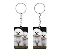 DWVSFJM Bichon Frise Acrylic Keychain Cute Print Key Chain Funny Car Key Ring Holder Rectangle Keychain Holder for Men Women Charm Accessories for Tote Bag Backpack, White, 5x3cm