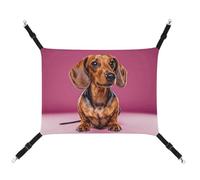 DWVSFJM Dachshund Weiner Dog Cat Hanging Hammock Adjustable Resting Sleepy Cat Window Pad Pets Hammock Soft Bed for Cats Rabbits Or Other Small Animals