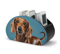 DWVSFJM - Dachshund Weiner Pet Storage Box with Remote Control PU Leather 5 Compartments Emotion Control Stand for Living Room Bedroom Office