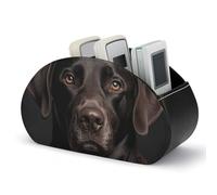 DWVSFJM Pu Leather Remote Control Storage Box, Black Lab Dog Remote Control Organizer Box With 5 Compartments Emote Control Holder For Living Room Bedroom Office