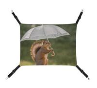 DWVSFJM Squirrel Hold A Umbrellas Cat Hanging Hammock Adjustable Resting Sleepy Cat Window Pad Pets Hammock Soft Bed for Cats Rabbits Or Other Small Animals