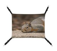 DWVSFJM Squirrel Just Laying Cat Hanging Hammock Adjustable Resting Sleepy Cat Window Pad Pets Hammock Soft Bed for Cats Rabbits Or Other Small Animals