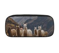 DWVTFSM Llamas in The Andes Large Pencil Bag Waterproof Cute Pen Case Travel Cosmetic Leather Makeup Bag Organizer Pen Holder for Men Women