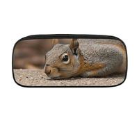 DWVTFSM Squirrel Just Laying Large Pencil Bag Waterproof Cute Pen Case Travel Cosmetic Leather Makeup Bag Organizer Pen Holder for Men Women