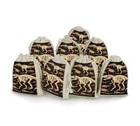 DWVTSLH 8 Pcs Cotton Linen Drawstring Bags for Christmas Wedding Gift Bags Dinosaur Skeleton Print Cloth Jewelry Pouches DIY Craft Sachet Sacks Reusable Storage Bag for Party Home Supplies