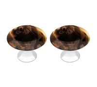 DWVTSLH Angry Roaring Lion Cabinet Handles 2 Pack Stainless Steel Kitchen Drawer Pulls with Installation Screws Round Dresser Drawer Knobs 1.1 Inch Modern Cabinet Hardware Door Handles
