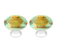 DWVTSLH Chick & Flower Cabinet Handles 2 Pack Stainless Steel Kitchen Drawer Pulls with Installation Screws Round Dresser Drawer Knobs 1.1 Inch Modern Cabinet Hardware Door Handles