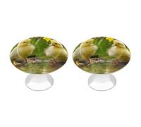 DWVTSLH Cute Baby Ducks Cabinet Handles 2 Pack Stainless Steel Kitchen Drawer Pulls with Installation Screws Round Dresser Drawer Knobs 1.1 Inch Modern Cabinet Hardware Door Handles