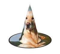 DWVTSLH Cute Labrador Dog Halloween Witch Hat 1 PCS Witch Costume Accessories Wizard Hats for Halloween Party Supplies