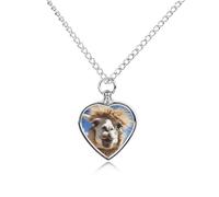 DWVTSLH Funny Alpaca Llama Pet Cremation Jewelry for Ashes for Dog/Cat Stainless Steel Memorial Urn Necklace for Women Men Animal Lover Keepsake Pendant Custom Heart Pet Ashes Necklace
