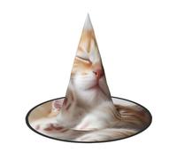 DWVTSLH Kitten Sleeps Halloween Witch Hat 3 PCS Witch Costume Accessories Wizard Hats for Halloween Party Supplies