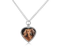 DWVTSLH Long Haired Dachshund Pet Cremation Jewelry for Ashes for Dog/Cat Stainless Steel Memorial Urn Necklace for Women Men Animal Lover Keepsake Pendant Custom Heart Pet Ashes Necklace