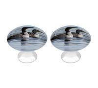 DWVTSLH Loon Birds Cabinet Handles 2 Pack Stainless Steel Kitchen Drawer Pulls with Installation Screws Round Dresser Drawer Knobs 1.1 Inch Modern Cabinet Hardware Door Handles