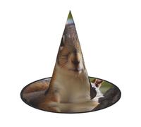 DWVTSLH Squirrel in The Tree Halloween Witch Hat 1 PCS Witch Costume Accessories Wizard Hats for Halloween Party Supplies