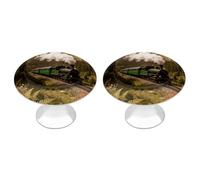 DWVTSLH Steam Car in The Woods Cabinet Handles 2 Pack Stainless Steel Kitchen Drawer Pulls with Installation Screws Round Dresser Drawer Knobs 1.1 Inch Modern Cabinet Hardware Door Handles