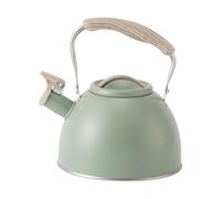 dwxnauixl Convenient and Portable Whistling Kettle 3L Easy to Carry and Pour Whistle Handle, Light Green