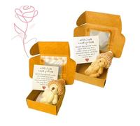 DXBNEZBC 2 Pcs Worry Bear Hug in a Box, My Little Worry Bear in a Box, Light Brown and White Mini Plush Bears Inspirational with card & Hats, Positive Gift for Women Men Valentine's Day Christmas